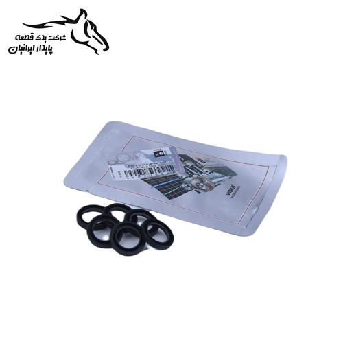 کاسه نمد اهرم دوشاخه كلاچ پراید ویژن 109B00 (6عددی) .12.6. ( فاقد گارانتی ) (فقط نقدی)