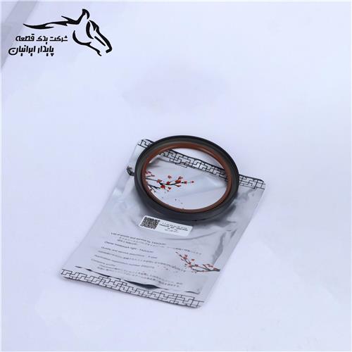 کاسه نمد عقب میل لنگ پژو 206 تیپ 3 19000022 تاسوکی .36.1.