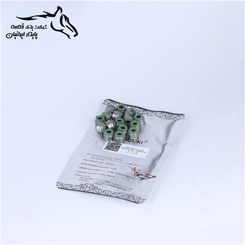 کاسه نمد ساق سوپاپ پژو 206 تیپ 5 19000047 تاسوکی .30.1.